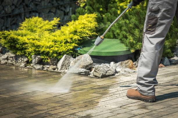 Best Fence Cleaning and Maintenance in Pine Island, MN