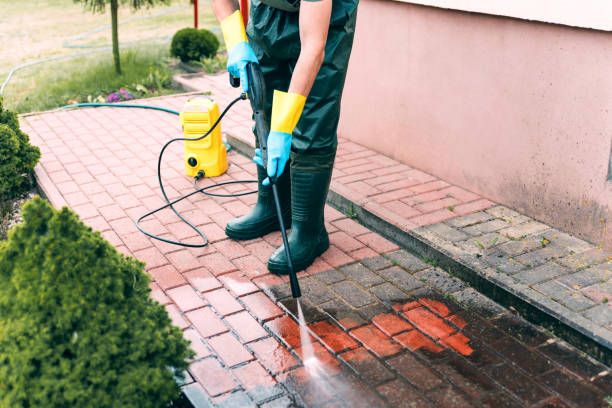 Best Window and Screen Pressure Cleaning in Pine Island, MN