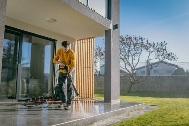 Best Soft Washing for Delicate Surfaces in Pine Island, MN